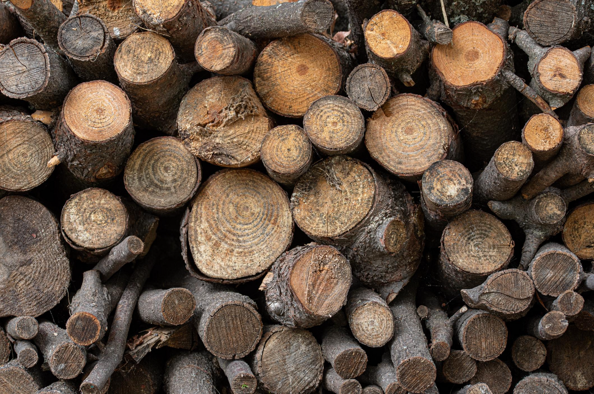 Woods Collection