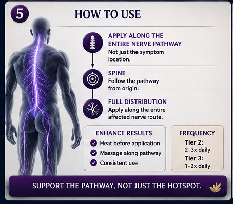 Neural Ease