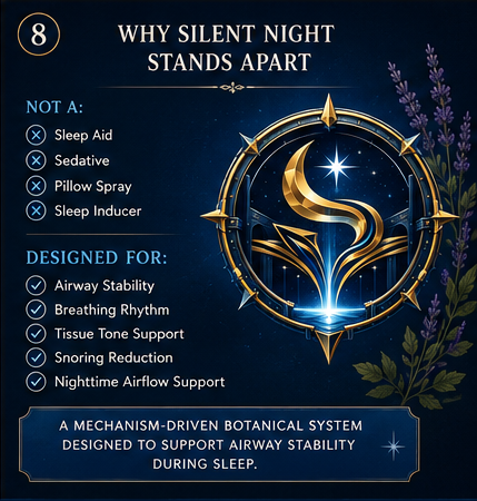 Silent Night panel 8